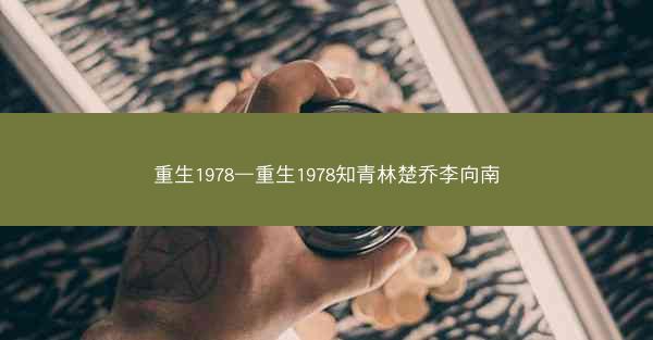 重生1978—重生1978知青林楚乔李向南