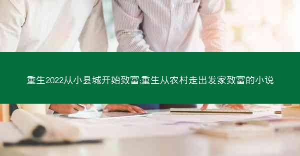 重生2022从小县城开始致富;重生从农村走出发家致富的小说